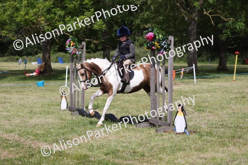 20260614-0688 - Class 20 - Beginners Working Hunter Pony