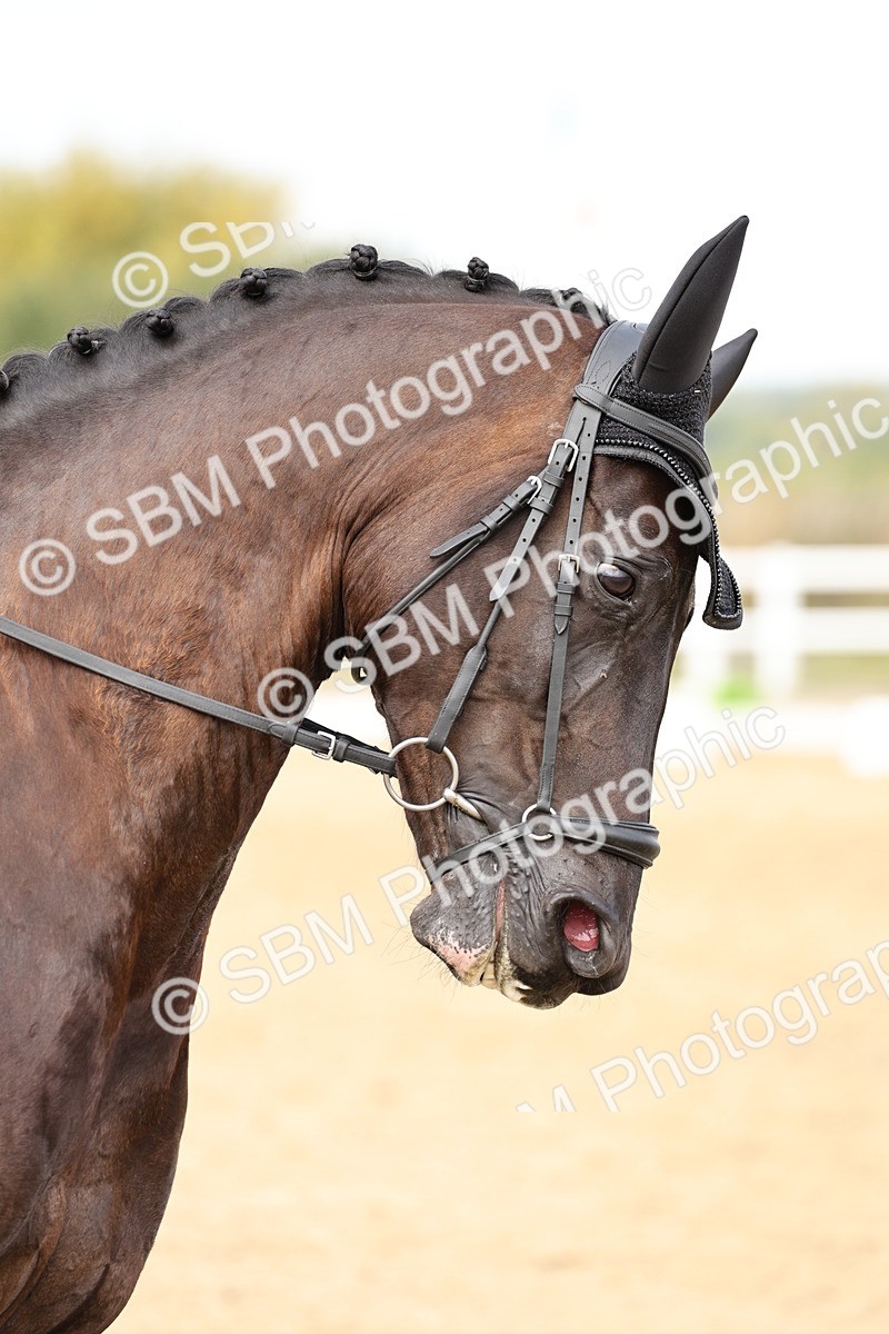 SBM_013070 - Class 3 - Novice 4 - 11.43-12.25