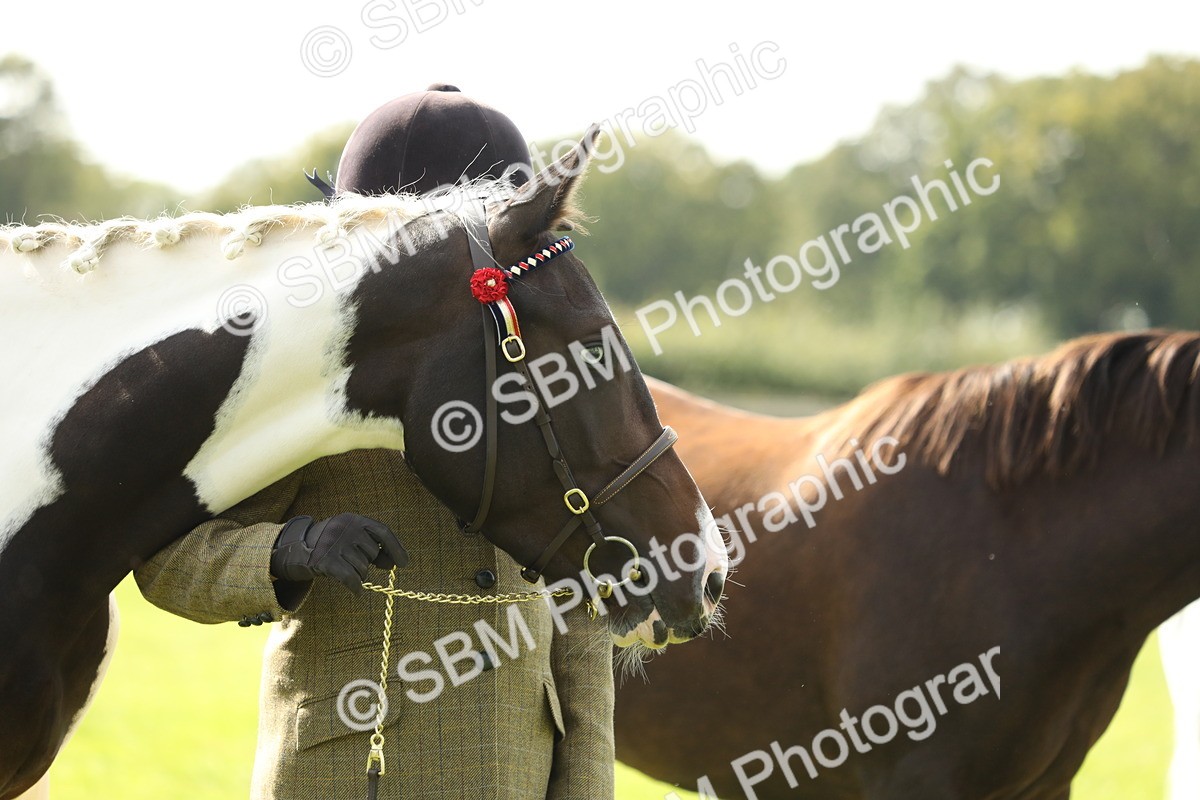 SBM_68559 - S40 - Junior Handler 9-12 Years