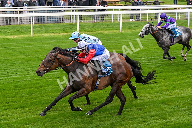 140526-Race 3-Maybe Not-0165 - Race 3 2.55pm Oakmere Homes Hambleton Handicap