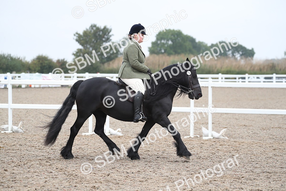 SBM_21923 - Class 603 - 2025 Area Ridden Pre Vet