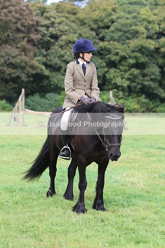 3E7A5899 - Class 26 and 27: 70cm Working Hunter