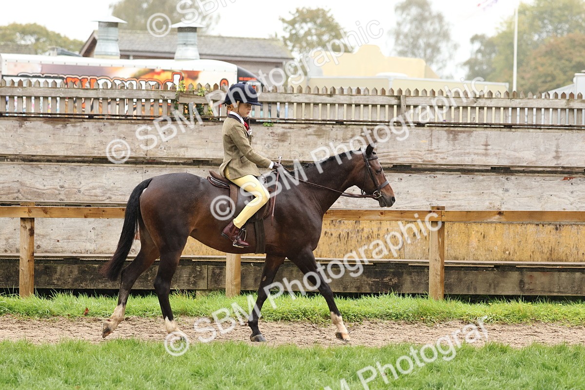 SBM_72965 - S63 Show Pony & Show Hunter Pony Ridden
