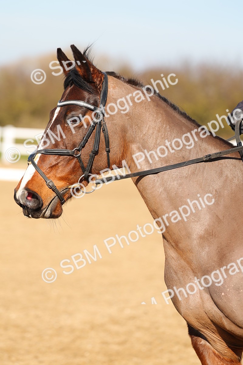 SBM_002689 - Class 2 - P1-70cm