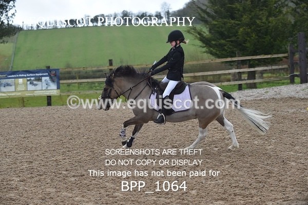 BPP_1064 - CLASS 1 Club/ Unaffiliated 60cms Open