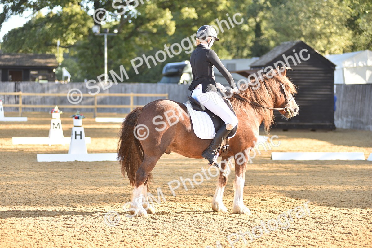 SBM_15706 - D4 - Small Tour Championship Intro 4