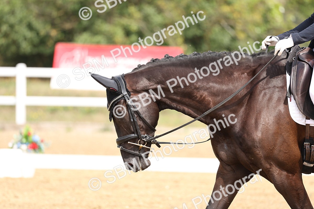 SBM_006225 - Class 6 - novice 6 - 11.50-12.46