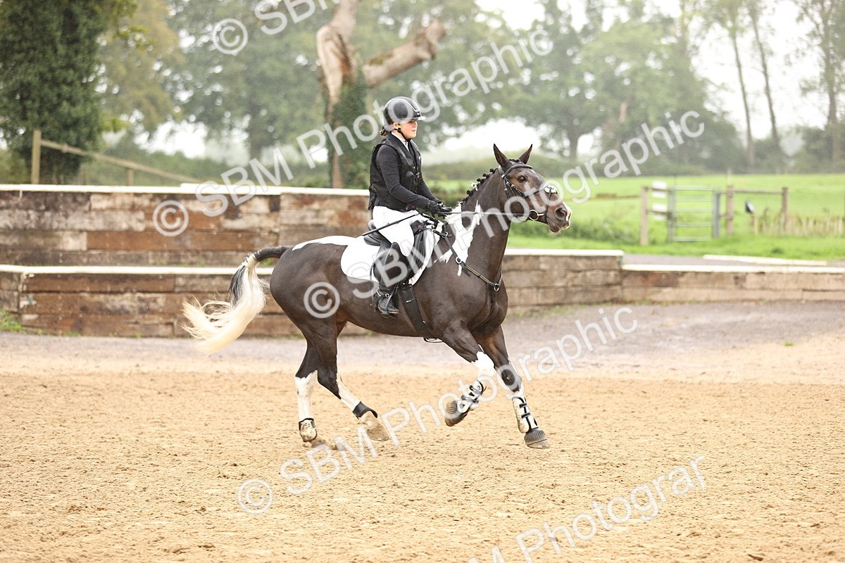 SBM_73336 - J19 - Junior Horse & Pony 90cm Supreme championship