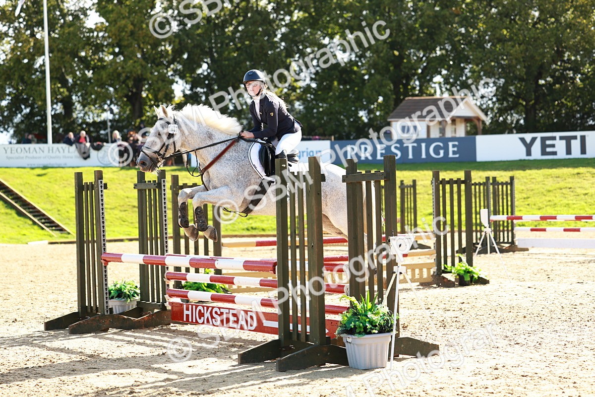 SBM_37986 - J39 - Senior Horse & Pony 85cm Championship