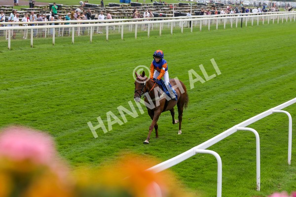 100923-Pony Race 1-3676 - Pony Race 1 12.25 The Dragon (TV and Film) Studios Pony Race 148cm & Under