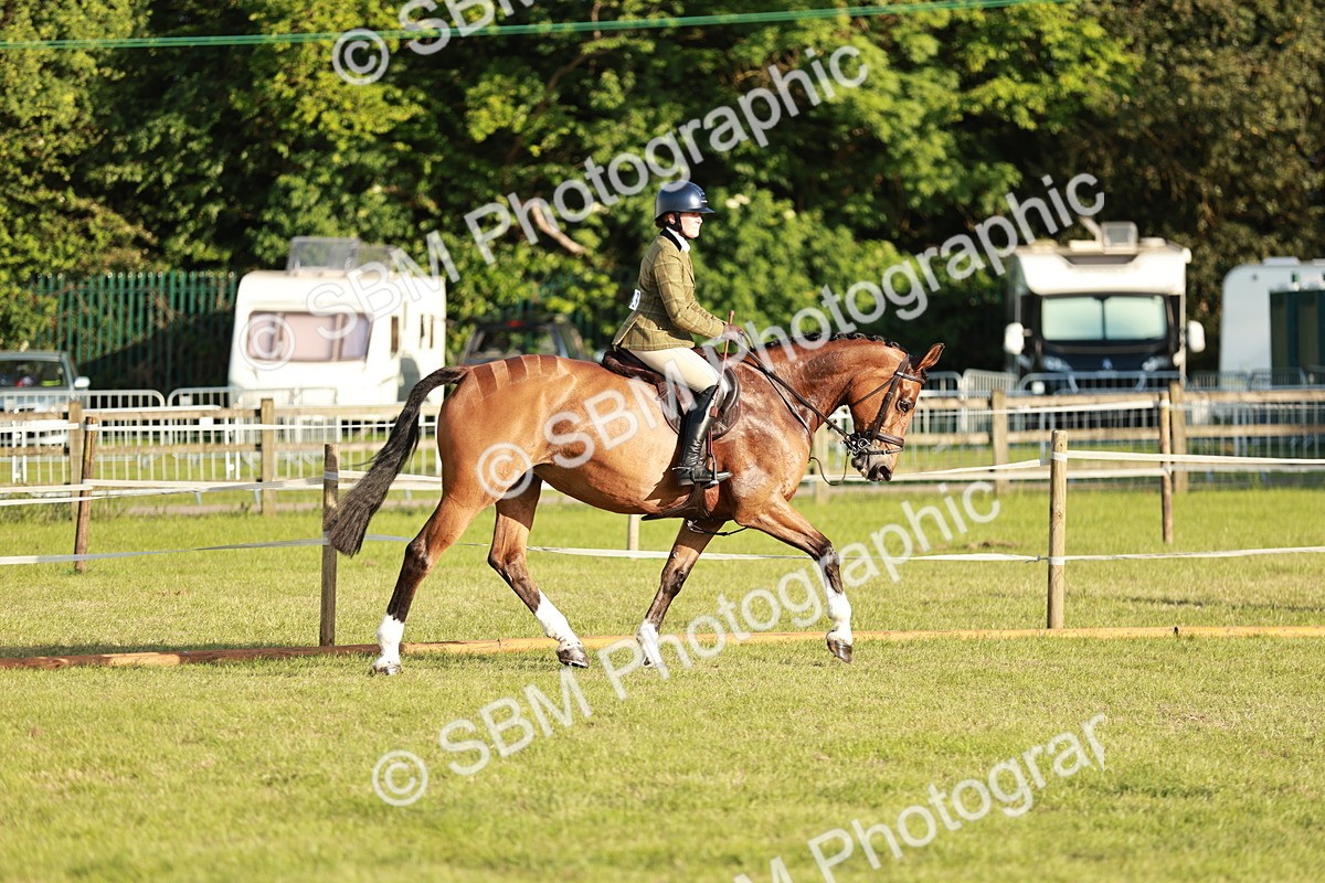 SBM_20445 - Class 117-119 - Sport Horse Working Hunter