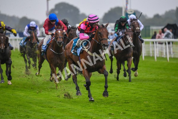 140723-Race 4-Andaleep-0393 - Race 4 3.50pm Azets Handicap