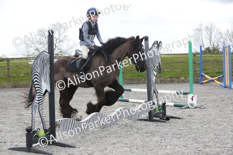20260412-0601 - Show Jumping