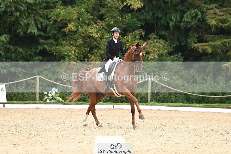 240811-134312-06150 - 127-Sarah.Stewart-DJoe.DiMaggio