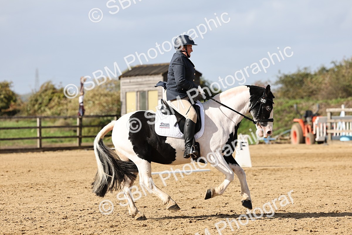 SBM_002139 - Class 50 - Novice 1