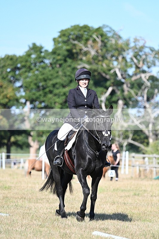 WJ7_9208 - Time 09:27 to 10:03