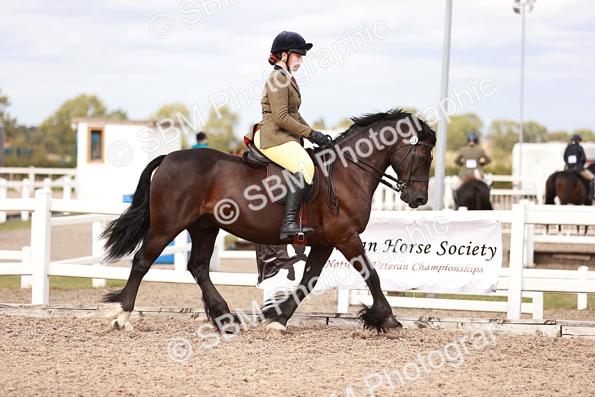 SBM_18379 - Class 418 - Best Condition - Jnr