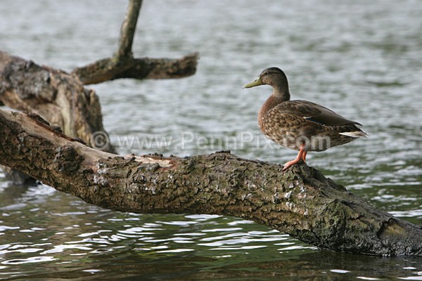 23 - Photos of Wakefield - Yorkshire
