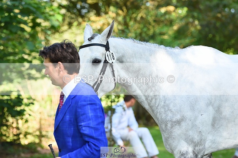 230524-163026-00914 - 118-HIGH_HOPES_VIKING-Harry_Meade-WEDTrotUp+DR