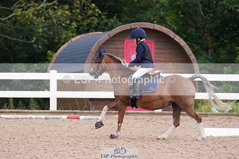 240809A-100734-00435 - Dressage Competition