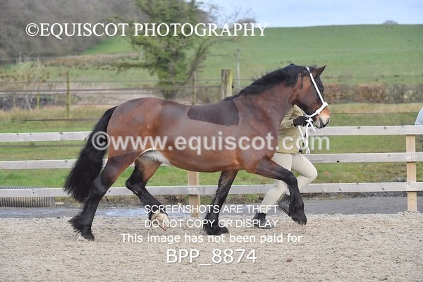 BPP_8874 - RING 2 - M&M