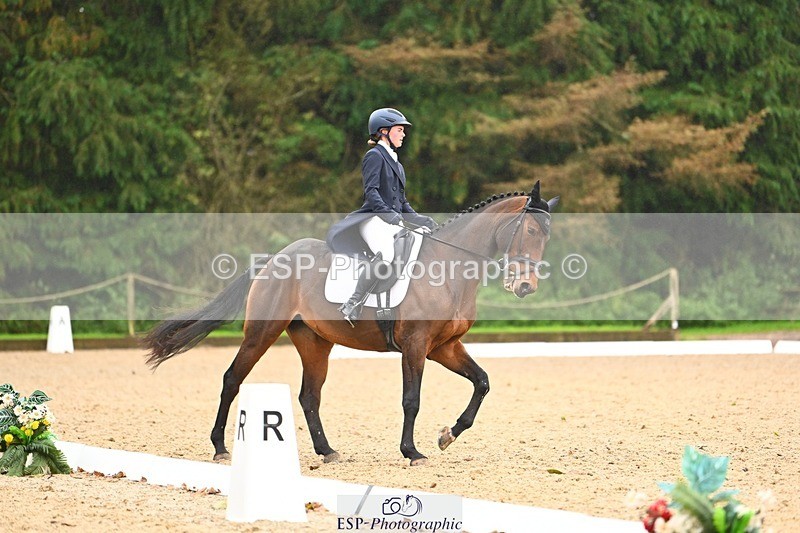 231021-121832-15112 - 347-SHANBEG.PANDORA-Alice.Gates-DR