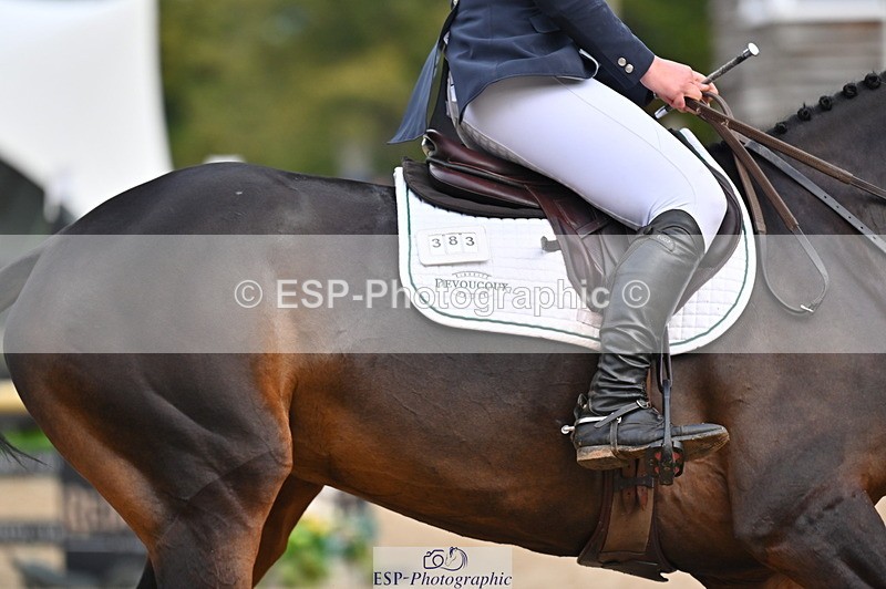 251026A-115812-24192 - E-383-Amy.Harris