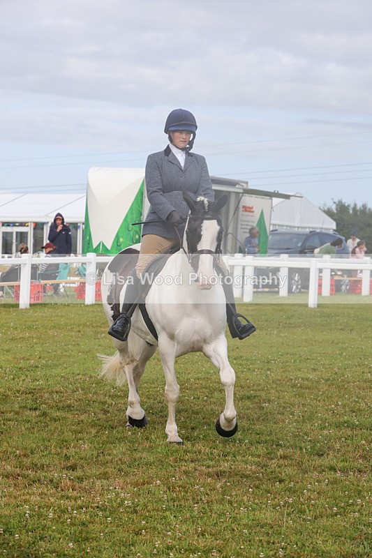 1X9A3062 - Class 26: Ridden Plaited Coloured Pony