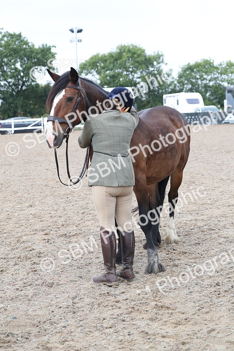 SBM_22581 - Class 604 - 2025 Area - IH Diamond