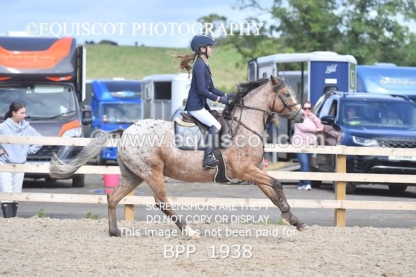 BPP_1938 - DERBY CLASS 5 - 60CM