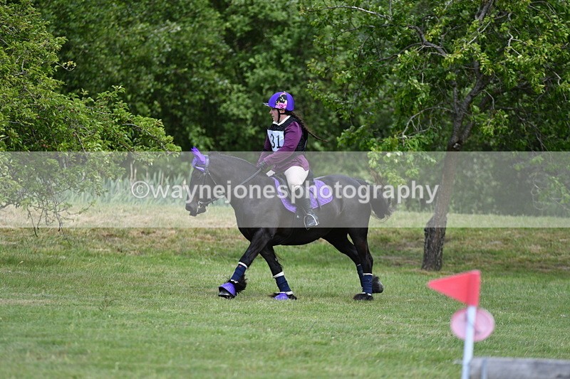 WJ5_3215 - Class 4 60cm