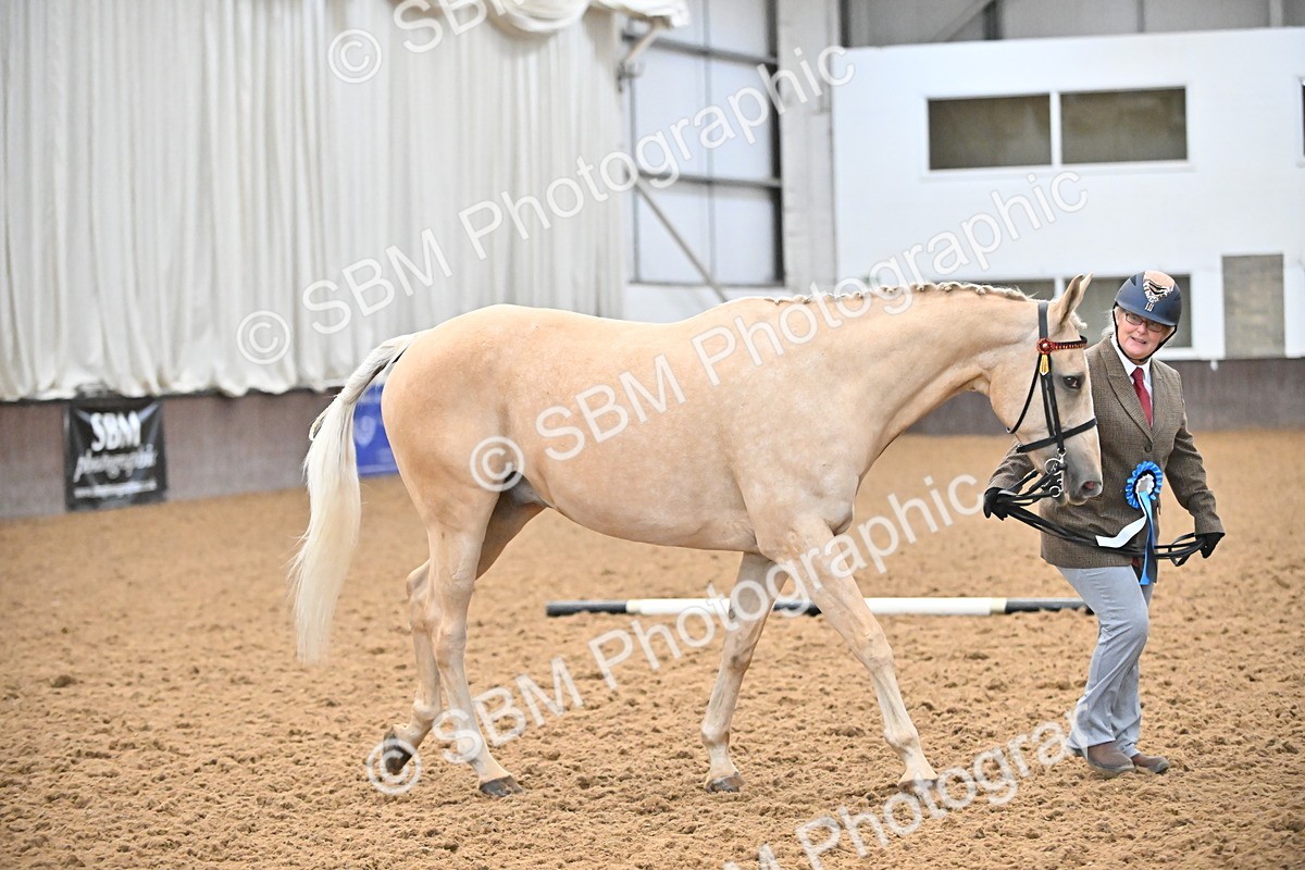 EB7_8443 - Class 3 - In Hand Foreign Breeds & Warmbloods