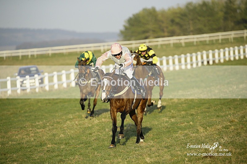 PtP 270222 701 - South & West Wilts Point-to-Point Larkhill 27/02/22