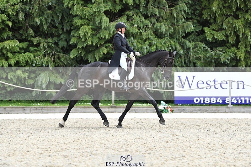 230525-140111-03069 - 317-FERNHILL_KANKAN-Jonelle_Price-WEDTrotUp+DR