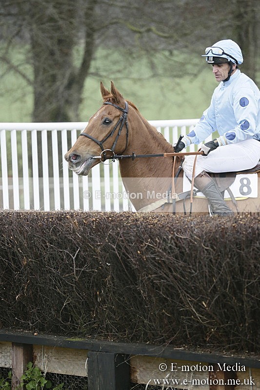 PtP 020418 -348 - Old Berks Point-to-Point Races Easter Monday 02/04/18