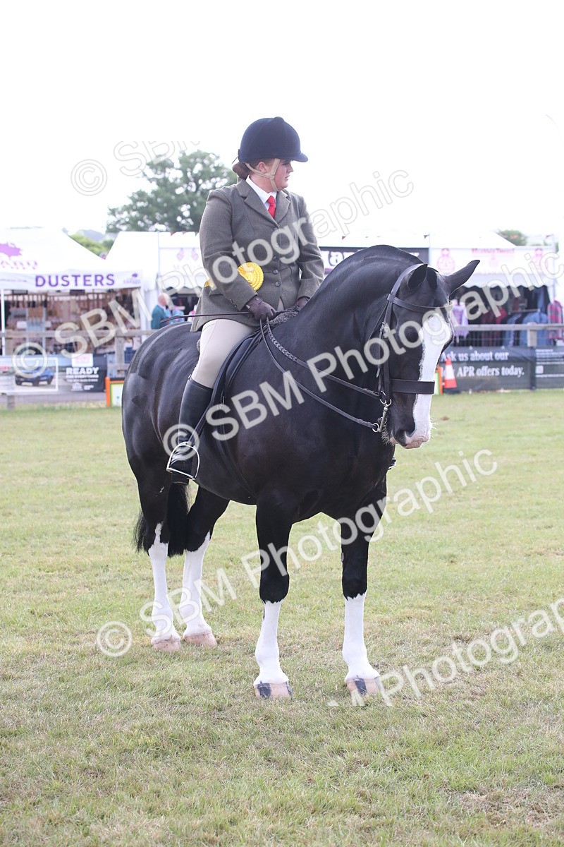 SBM_11155 - Class 92-93 - LIHS BSHA Rising Star Cobs