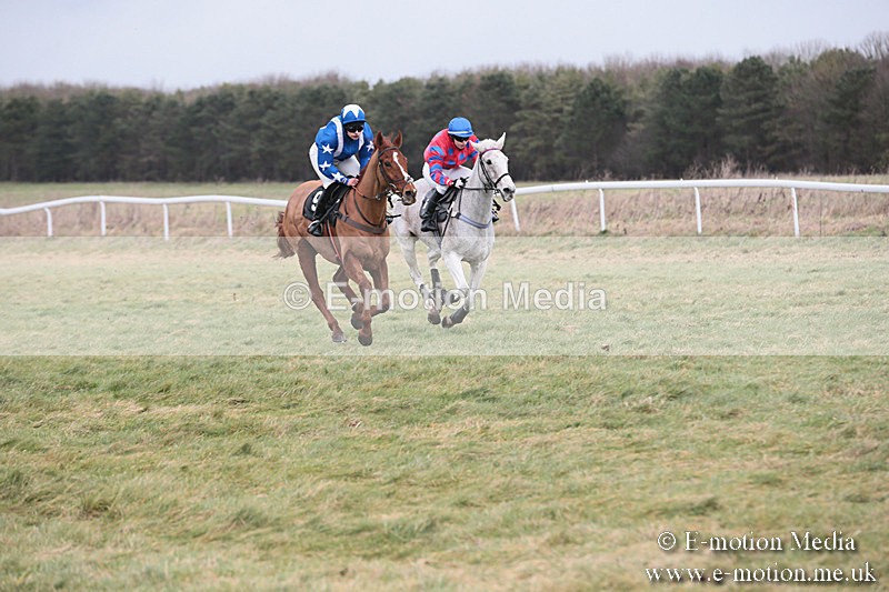 PtP 230119 253 - Royal Artillery Point-to-Point  - Larkhill  - 26/01/19
