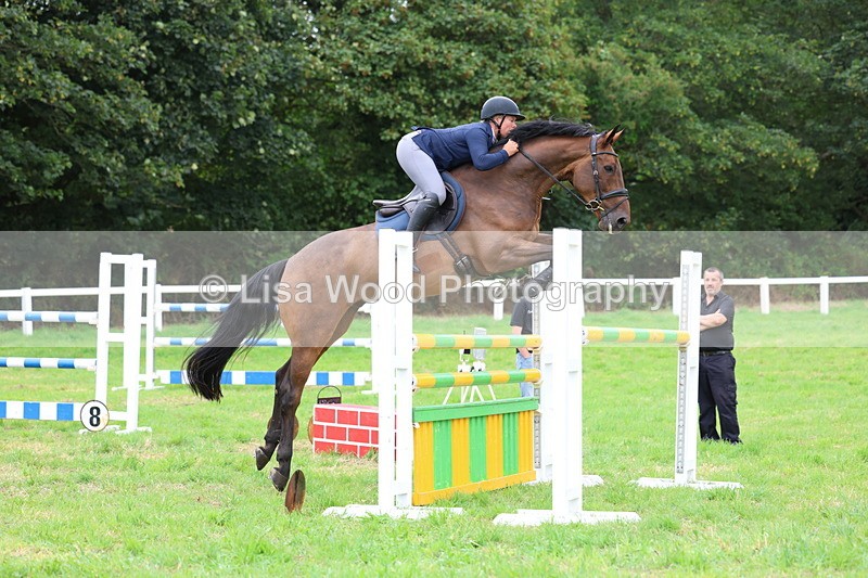 3E7A8453 - Class 8: Senior Foxhunter/1.20m open
