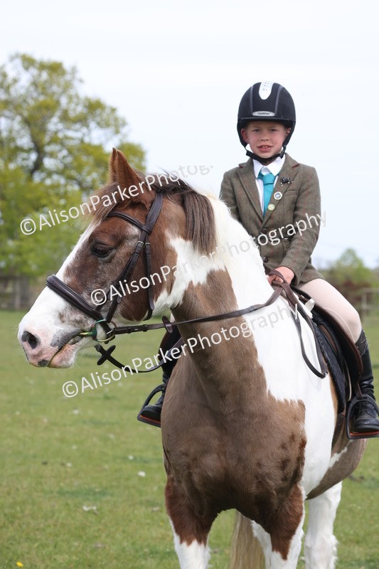 20260426-4395 - Class 34 - Best Riding Horse Over 14.2hh