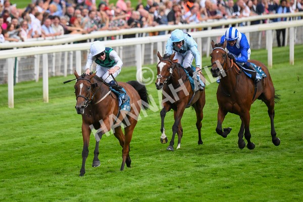 280723-Race 5-Midnight Mile-0531 - Race 5 7.15pm British EBF 40th Anniversary Lyric Fillies' Stakes