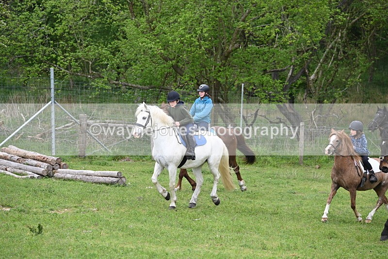 WJ6_3015 - A Camera