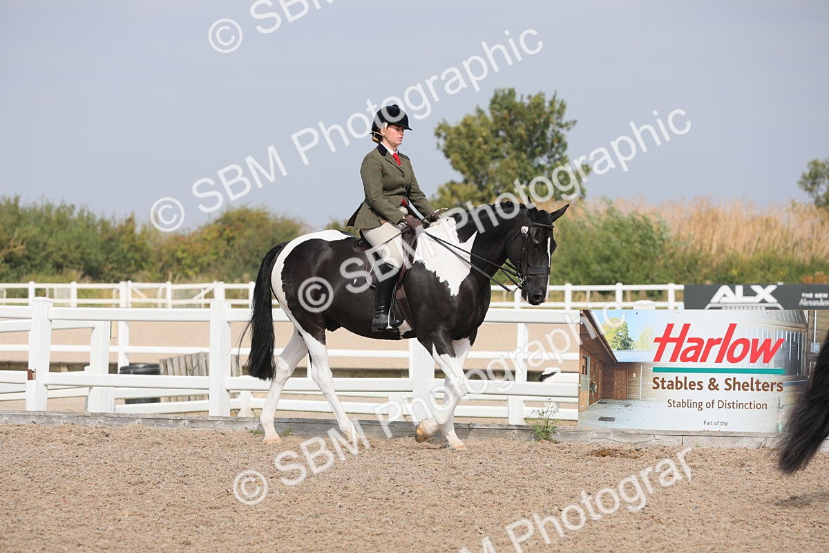 SBM_13320 - Class 308 Ridden Coloured Horse