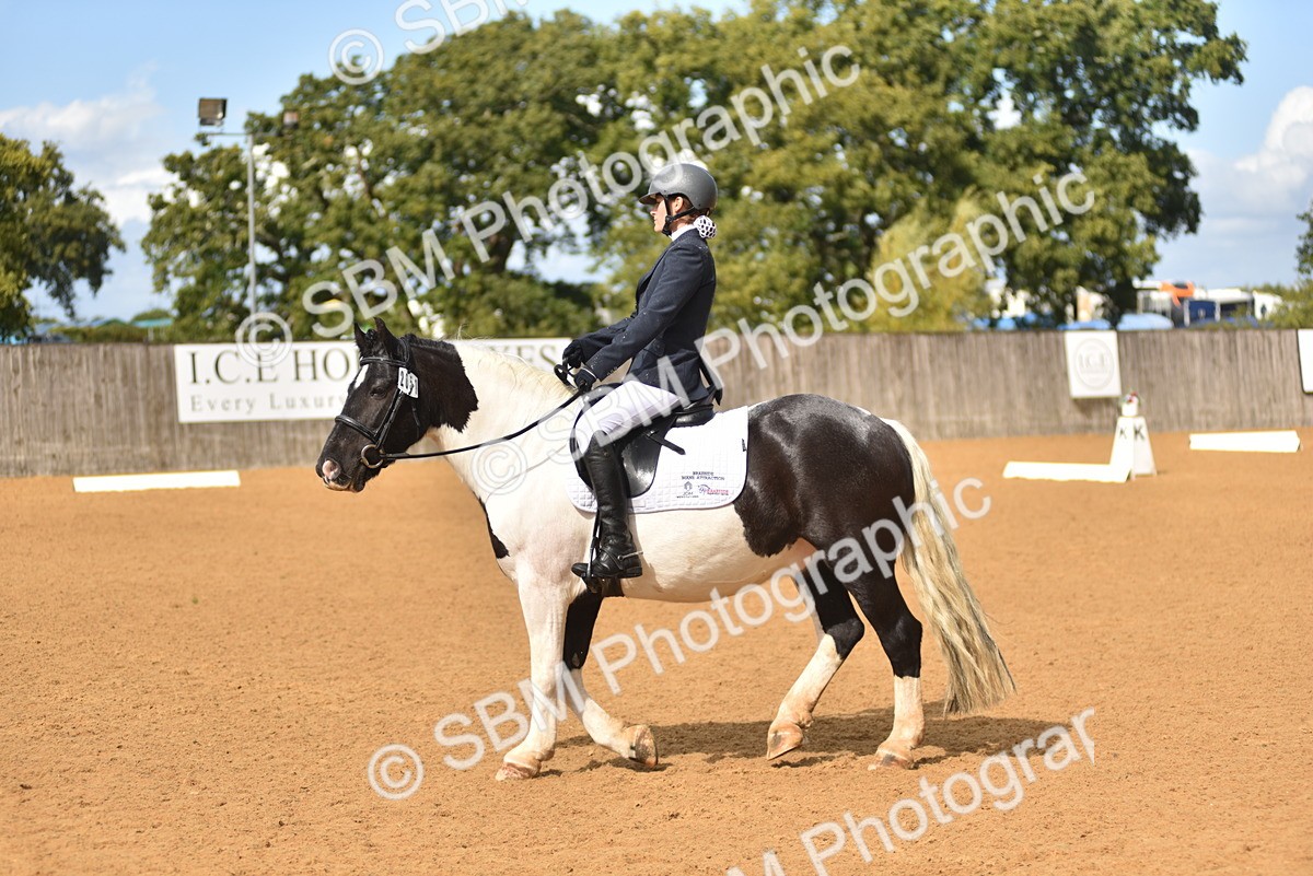 SBM_19923 - D4 - Small Tour Championship Intro 4