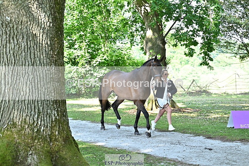 250521A-160041-00859 - C-279-Kitty.King-DASSETT.FLIGHT.PATH