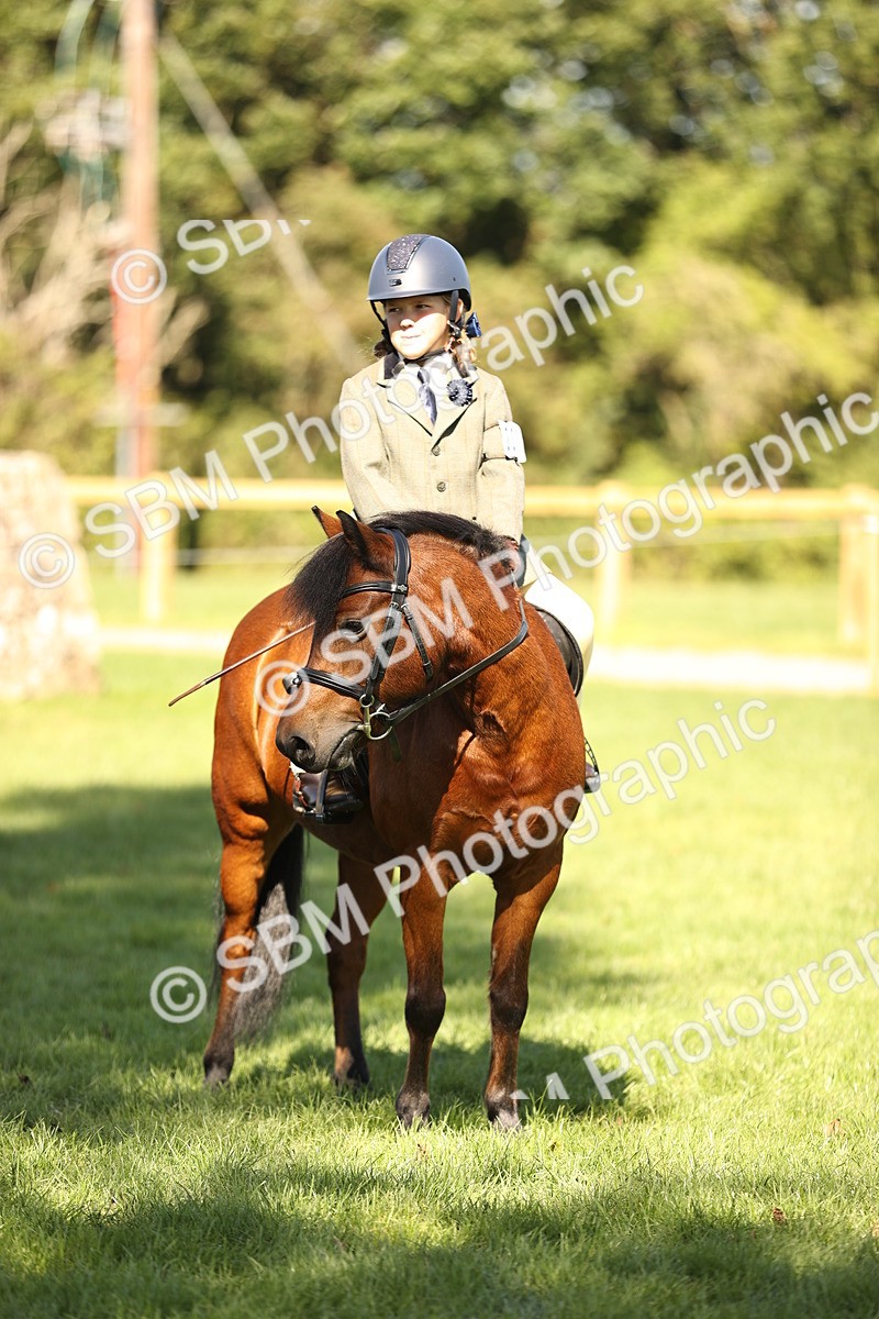 SBM_19198 - S3 - TSR Ridden Pony Showing