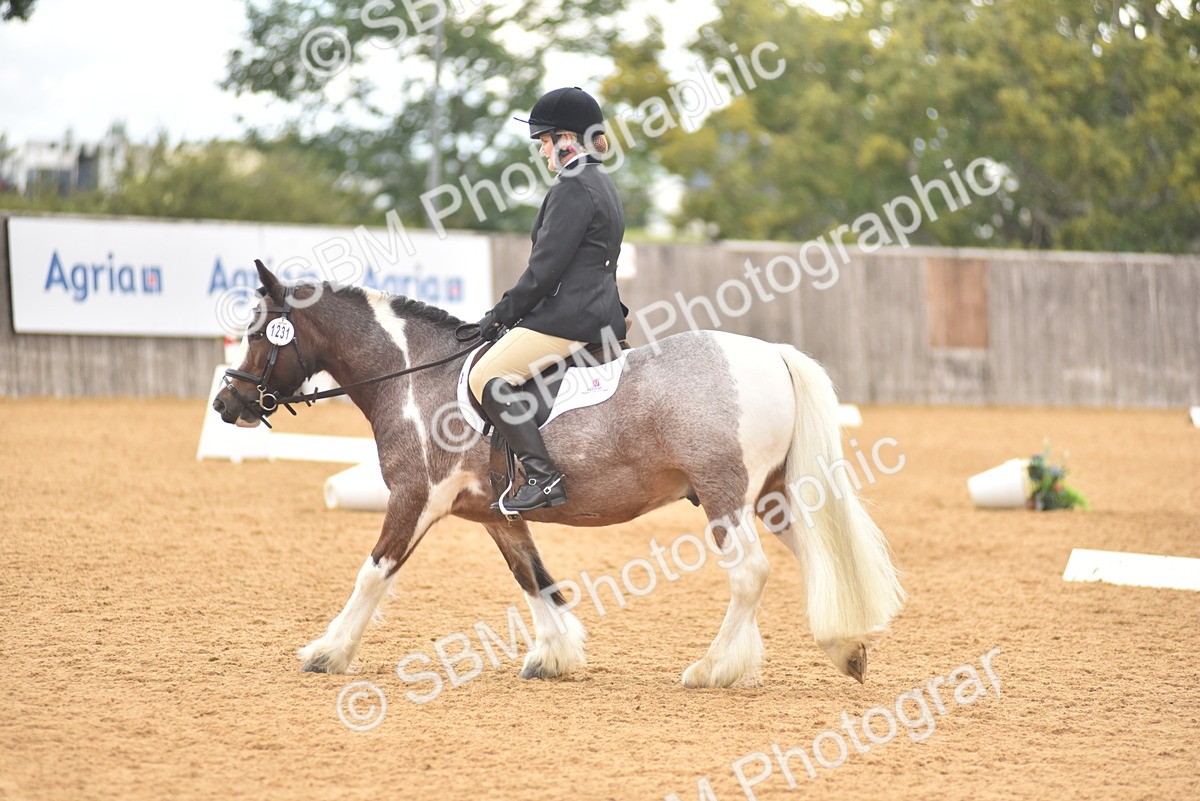 SBM_11282 - D15 - Small Tour Championship Novice 1