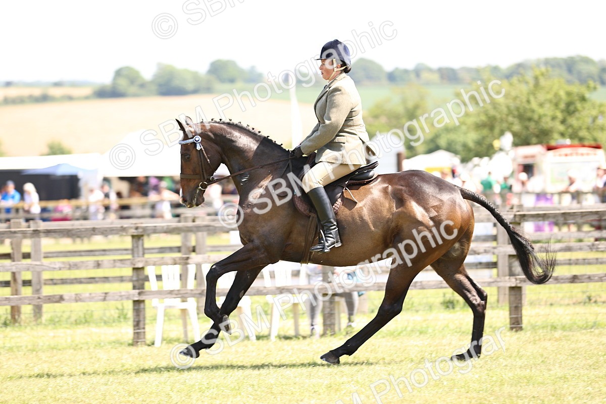 SBM_14933 - Class 78 - LIHS BSHA Open Racehorse & Show Horse