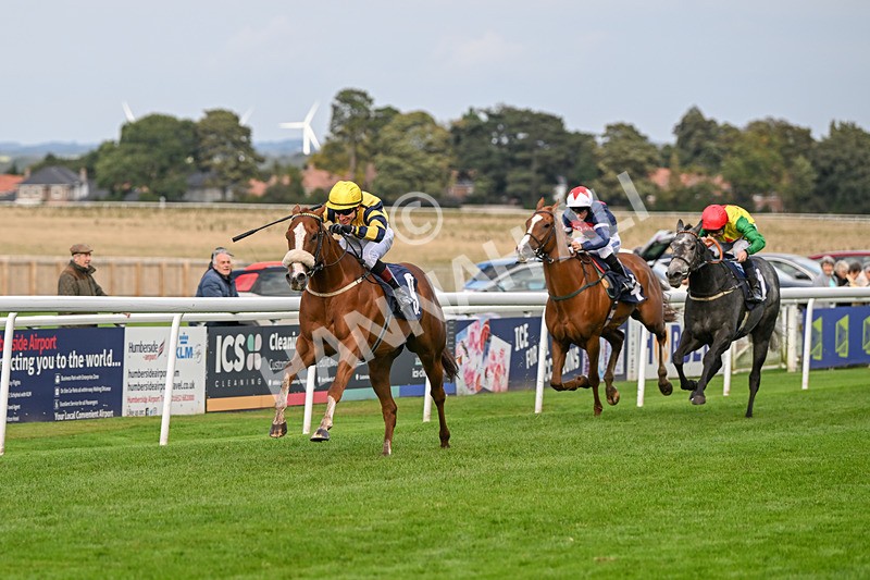 240924-Race 6-Captain Corelli-6691 - Race 6