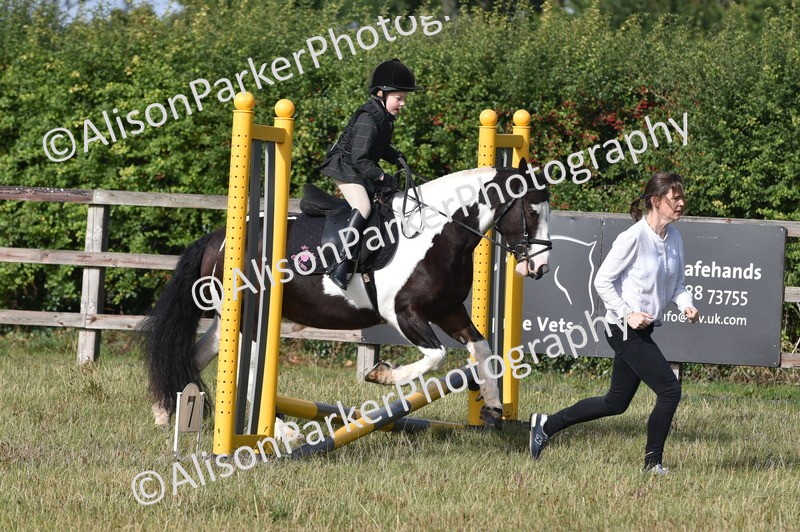 20250831-0304 - Class 6 - Minimus Jumping 30cm