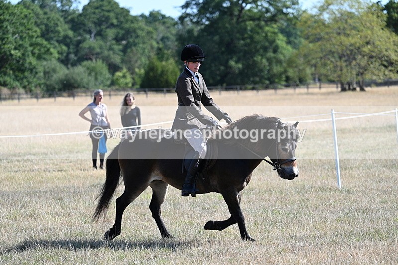 WJ7_3969 - Class 9 Mountain & Moorland Ridden